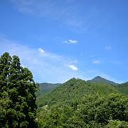 和食器セレクトショップflatto(フラット)周辺の自然